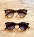 solaire FEDON homme 